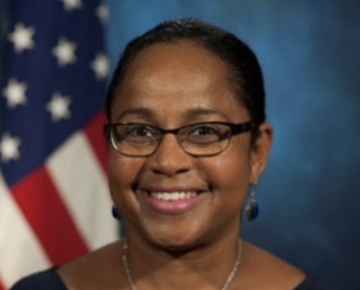 Sherry Zalika Sykes, diplomat in residence