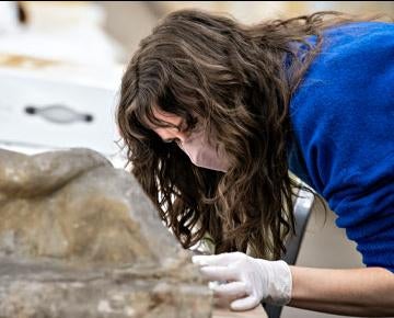 A student conducts research.