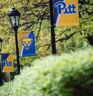 Pitt banners hang outside on the Pittsburgh Campus