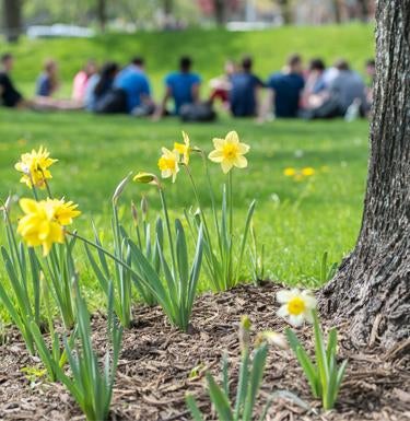 Flowers bloom on the Cathedral of Learning lawn as Pitt students take in a class outside.