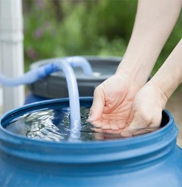 A person washes her hands in a tub of water.