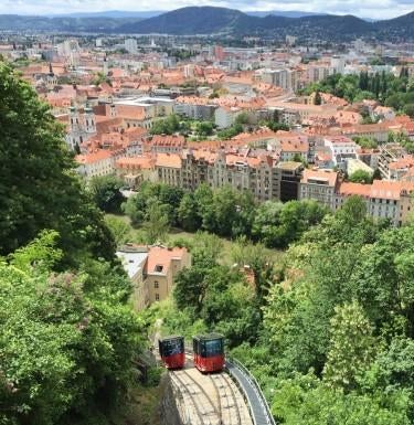 A town, trees, and a transport system