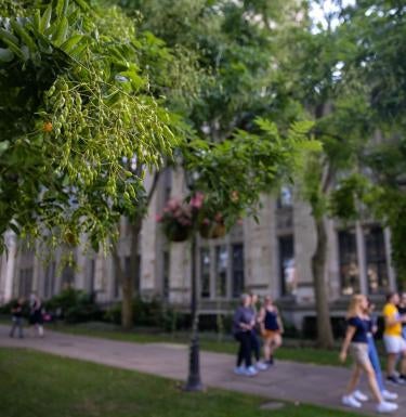 Students walking outside of Cathedral of Learning.