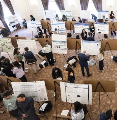 Students presenting at the 2024 Frederick Honors College Research Symposium