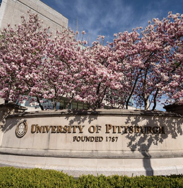 University of Pittsburgh signage with cherry blossoms in bloom.