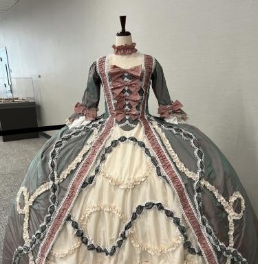Maya Jones' Versailles court gown featured in Hillman Library