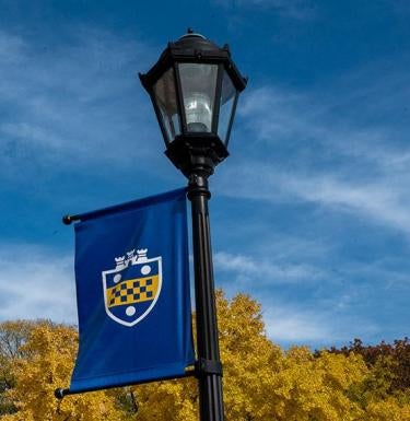 Lamp post with Pitt emblem banner.