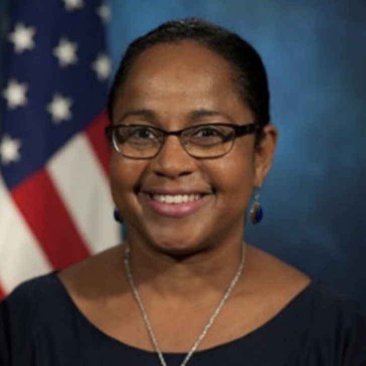 Sherry Zalika Sykes, diplomat in residence