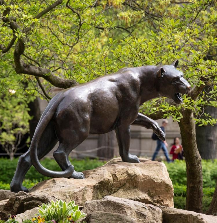 Statue of Pitt Panther 