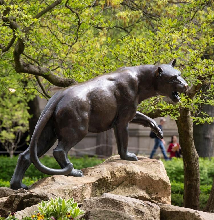 upitt honors college essay examples Statue of Pitt Panther